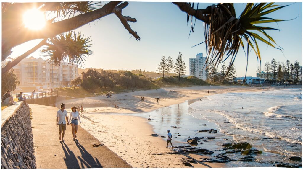 Sunshine Coast - Walking - Claymore Thistle