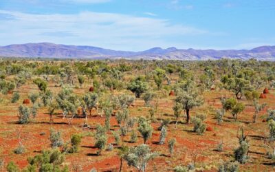 The pros and cons of living in the Australian Outback
